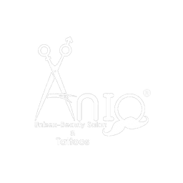ANIQ Logo
